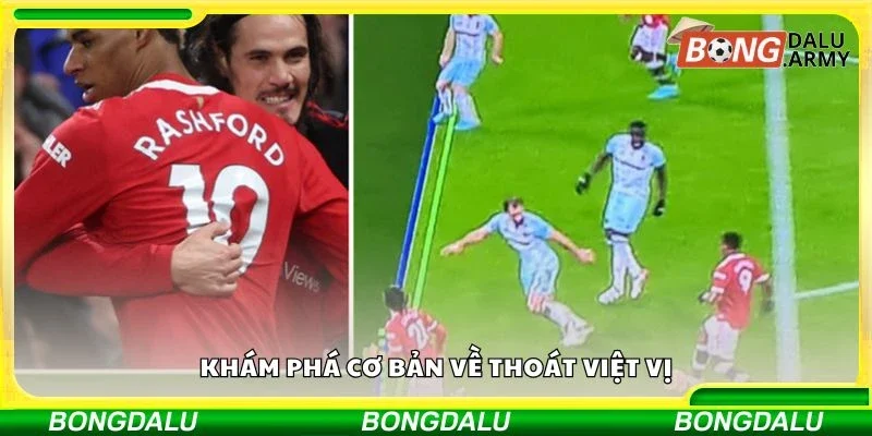 Khám phá cơ bản về thoát việt vị