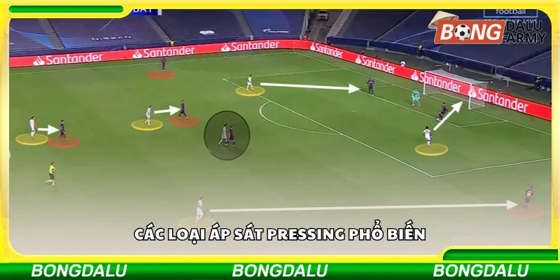 Một số loại áp sát pressing phổ biến