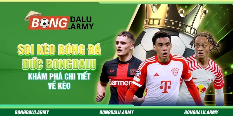 Soi kèo bóng đá Đức Bongdalu - Khám phá chi tiết về kèo 