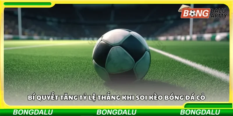 Mẹo nâng cao khả năng thắng cược bóng đá cỏ