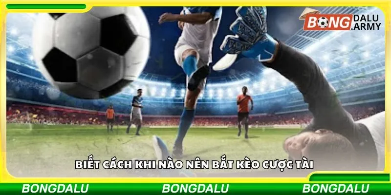 Biết cách khi nào nên bắt kèo cược tài 