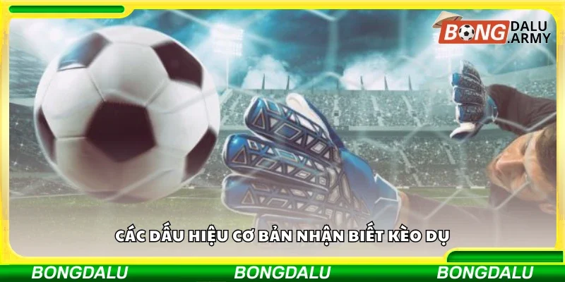 Các dấu hiệu cơ bản nhận biết kèo dụ