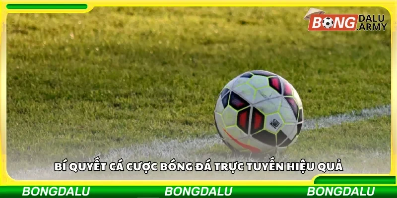 Bí quyết cược đội xuống hạng hiệu quả