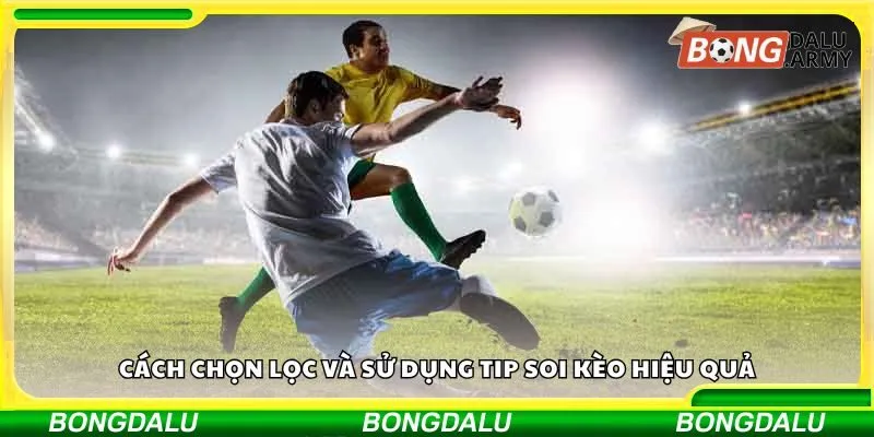 Cách chọn lọc và sử dụng tip soi kèo hiệu quả