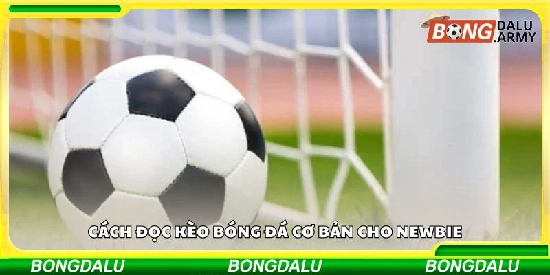 Cách đọc kèo bóng đá cơ bản cho newbie