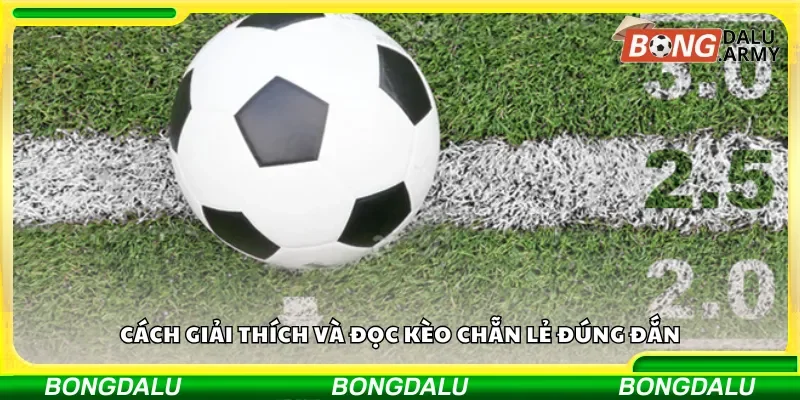 Cách giải thích và đọc kèo chẵn lẻ đúng đắn