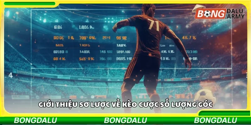 Giới thiệu sơ lược về kèo cược số lượng góc