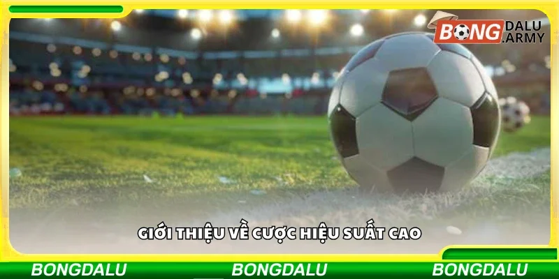 Giới thiệu về cược hiệu suất cao