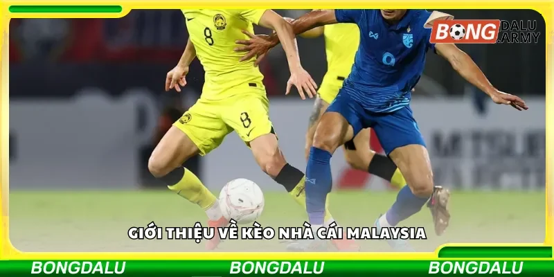 Tổng quan về kèo cược tại nhà cái Malaysia