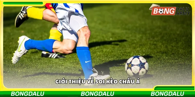 Giới thiệu về cá cược Kèo Châu Á