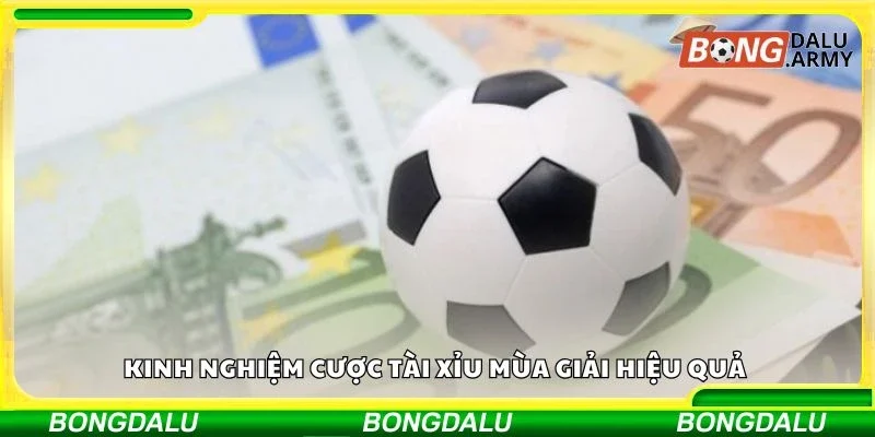 Kinh nghiệm cược tài xỉu mùa giải hiệu quả 