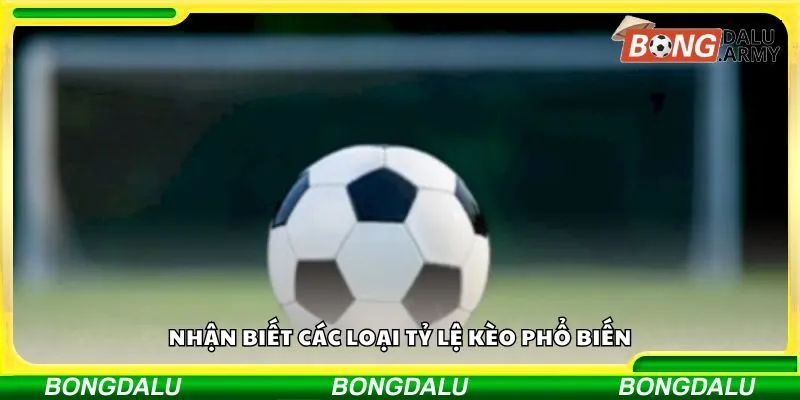 Nhận biết các loại tỷ lệ kèo phổ biến