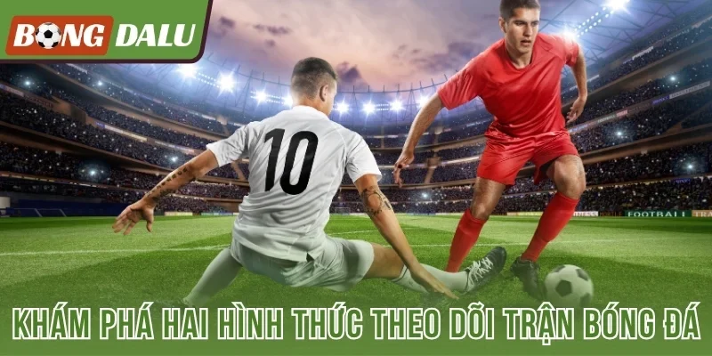 Khám phá hai hình thức theo dõi trận bóng đá