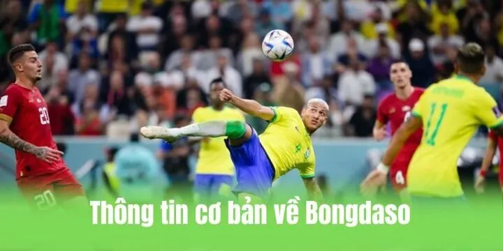 Tổng quan trang Bongdaso dành cho khách hàng mới