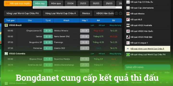 Những thông tin quan trọng khi tìm hiểu về Bongdanet