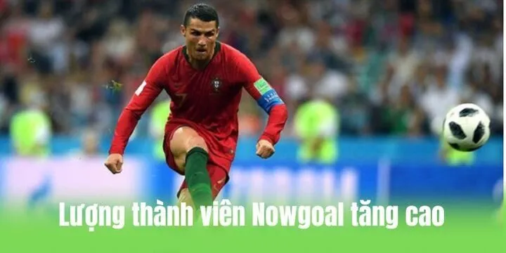 Một số lý do nên sử dụng dịch vụ trên website Nowgoal